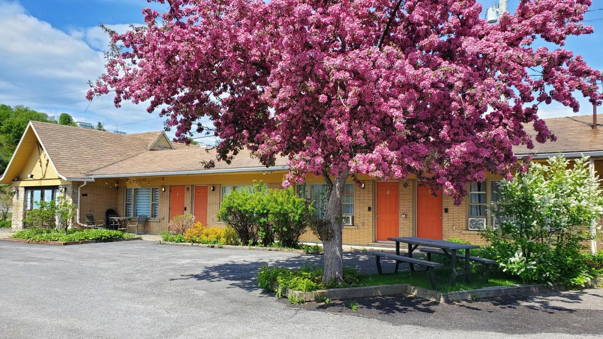 Lofts Fleuve Et Montagnes Μοτέλ Sainte-Anne-de-Beaupré Εξωτερικό φωτογραφία